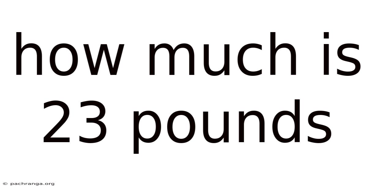 How Much Is 23 Pounds