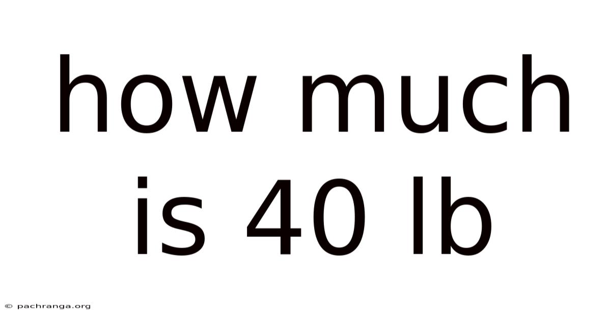 How Much Is 40 Lb