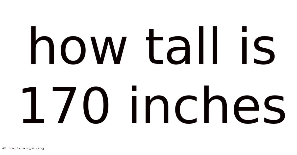 How Tall Is 170 Inches