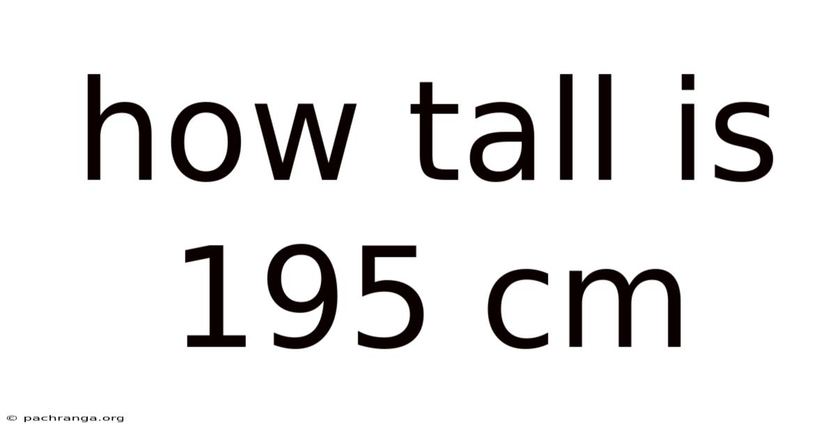 How Tall Is 195 Cm