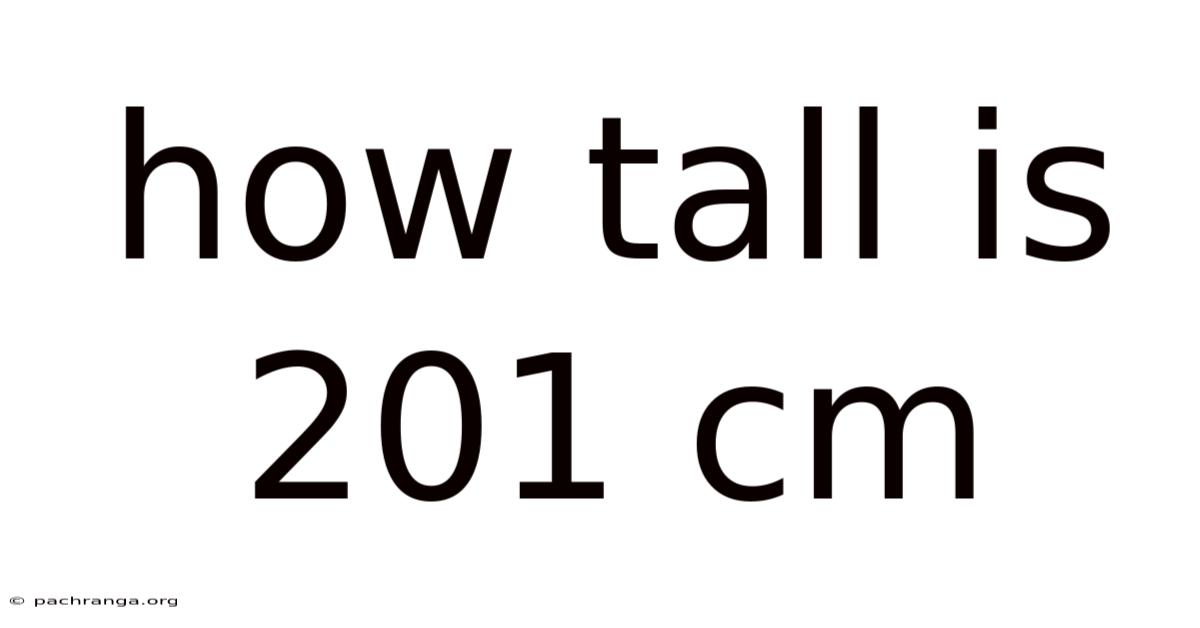 How Tall Is 201 Cm