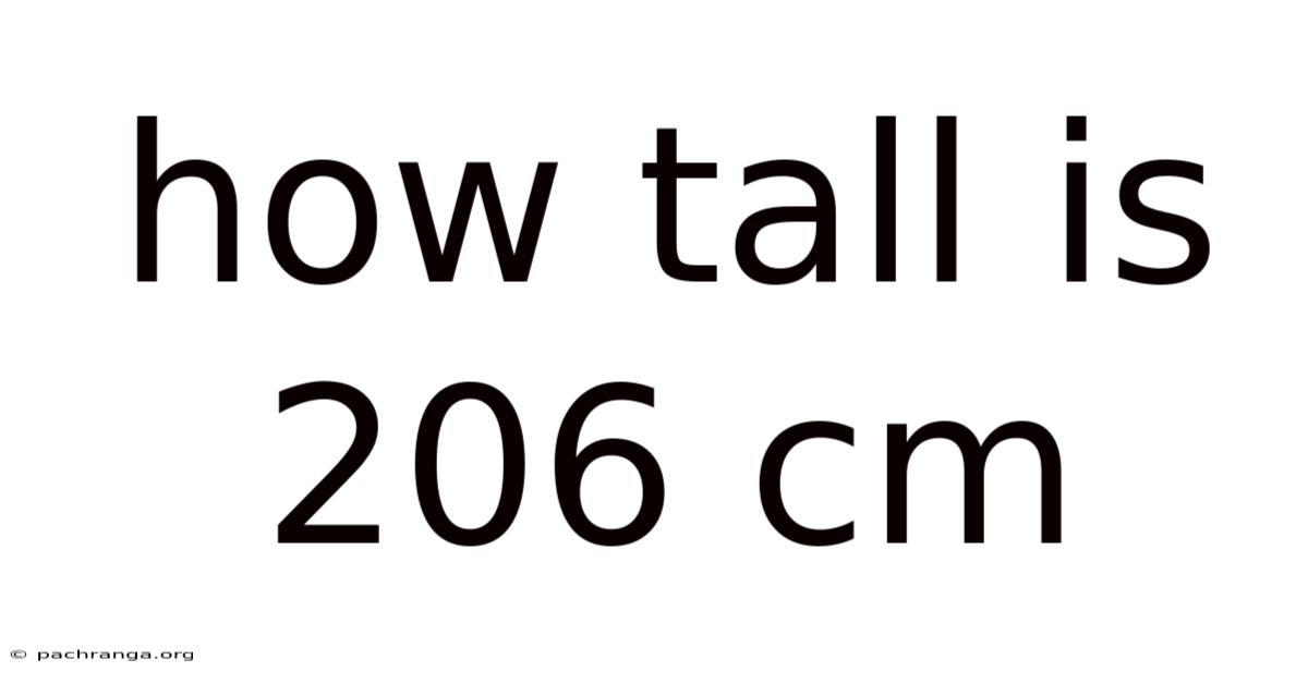 How Tall Is 206 Cm