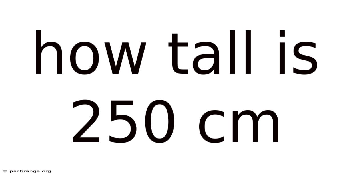 How Tall Is 250 Cm