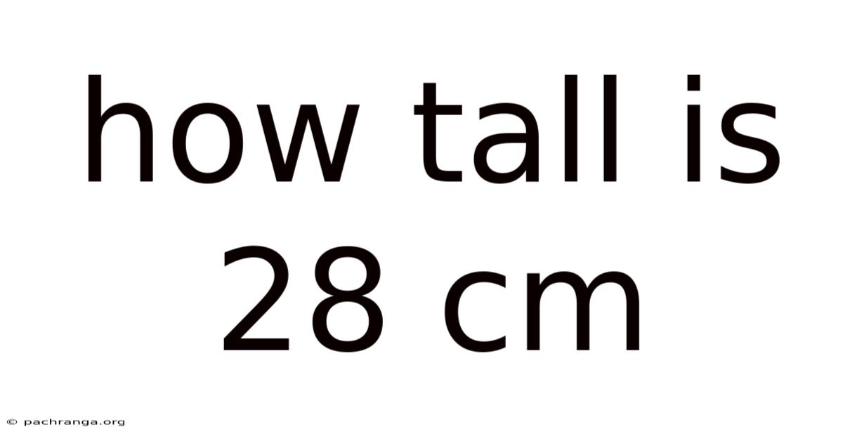 How Tall Is 28 Cm