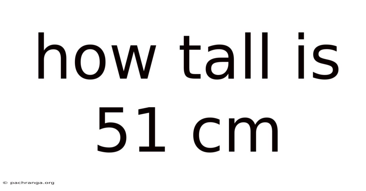 How Tall Is 51 Cm