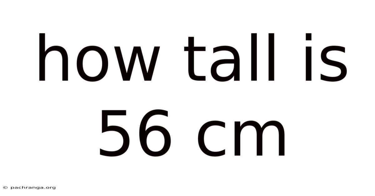 How Tall Is 56 Cm
