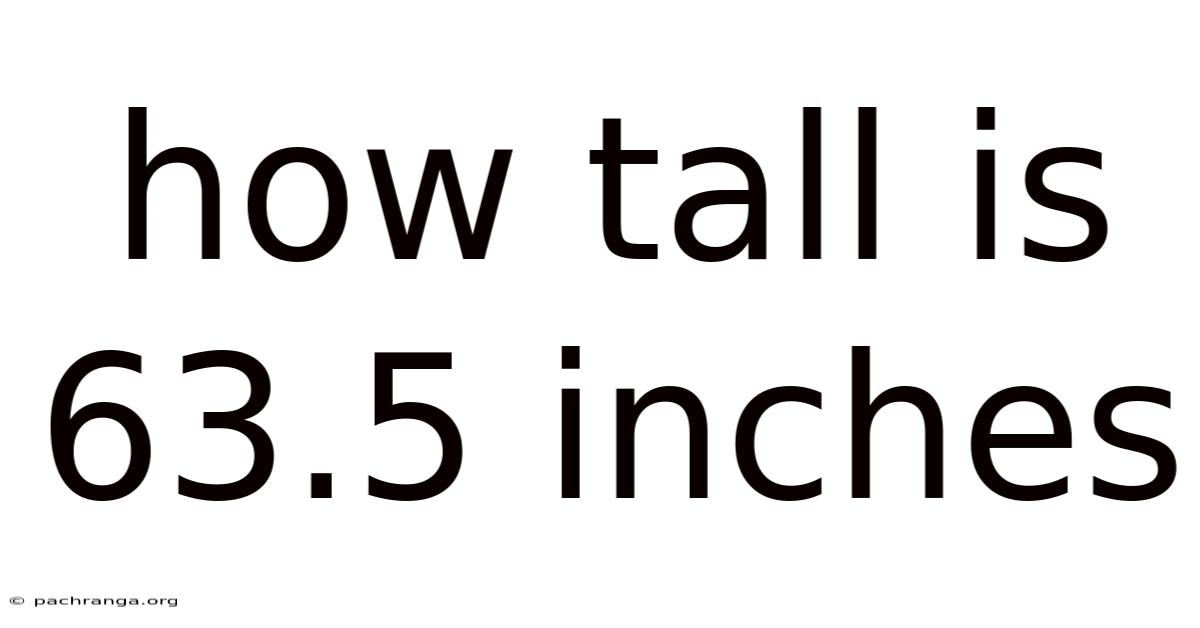 How Tall Is 63.5 Inches