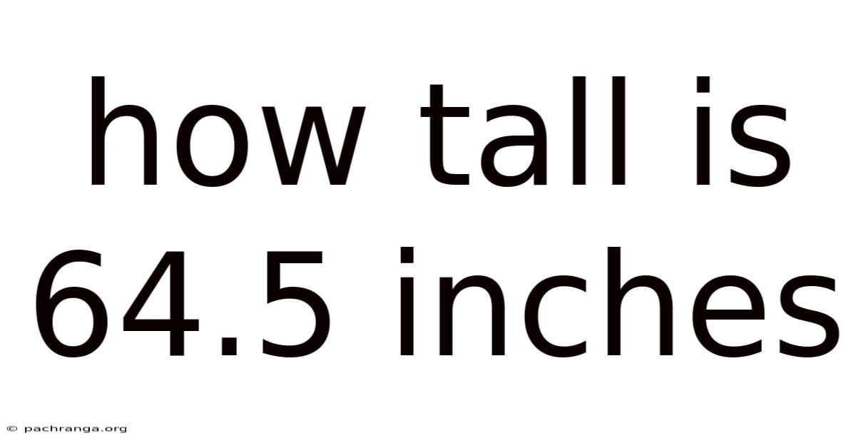 How Tall Is 64.5 Inches