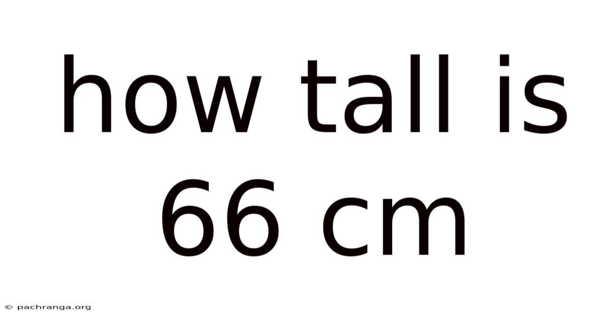 How Tall Is 66 Cm