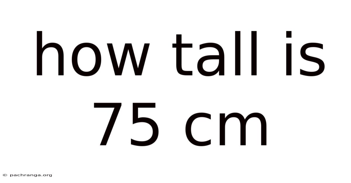 How Tall Is 75 Cm