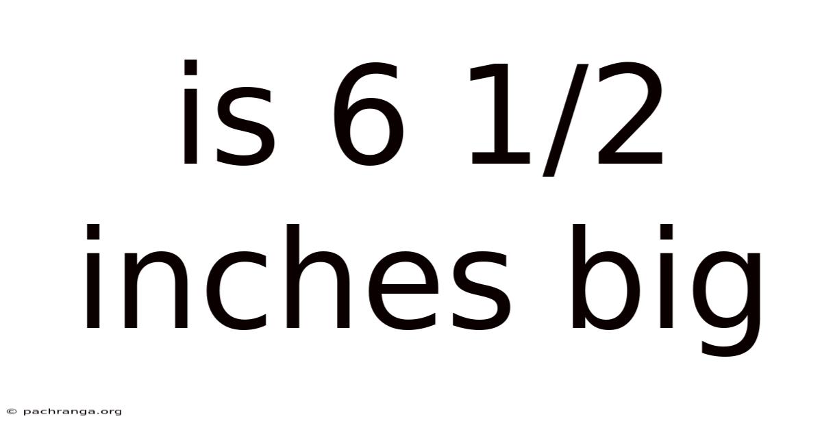 Is 6 1/2 Inches Big