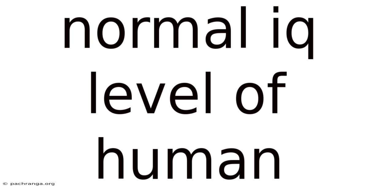 Normal Iq Level Of Human