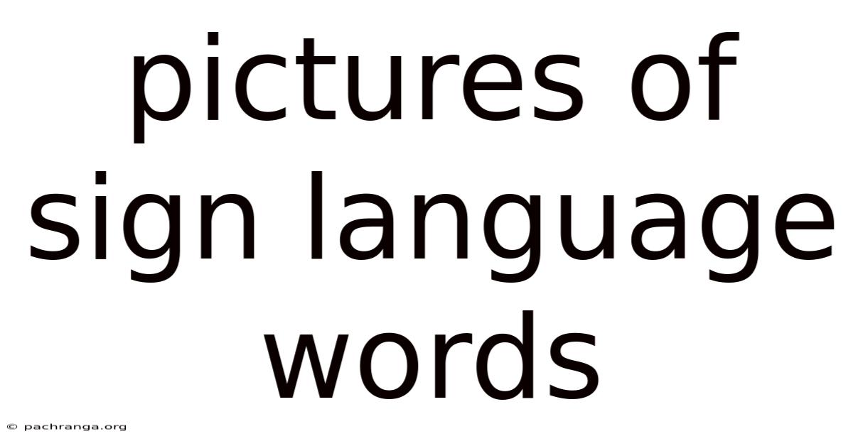 Pictures Of Sign Language Words
