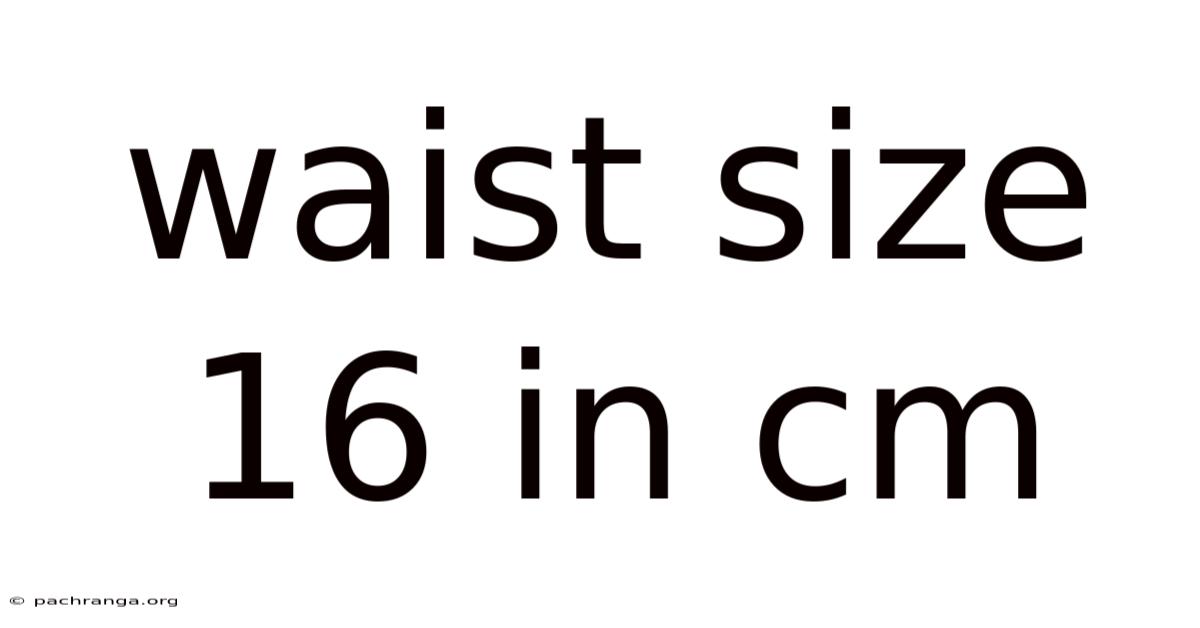 Waist Size 16 In Cm