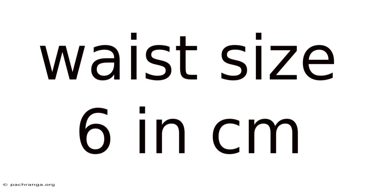 Waist Size 6 In Cm