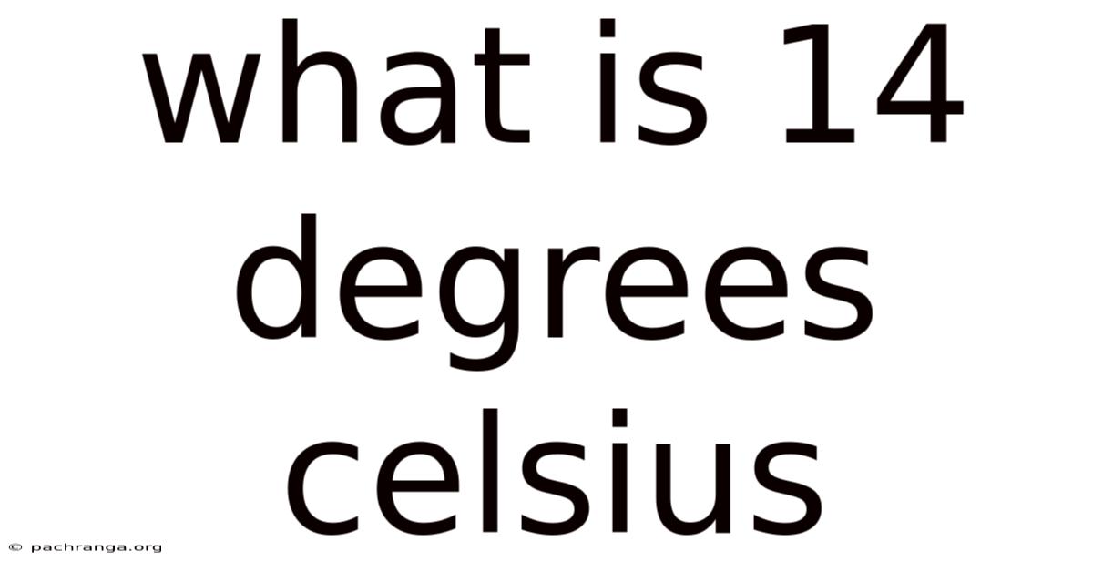 What Is 14 Degrees Celsius