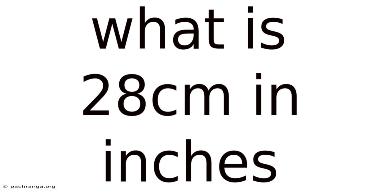 What Is 28cm In Inches