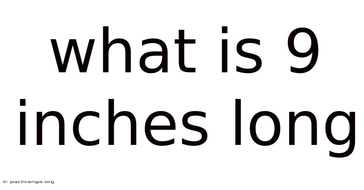 What Is 9 Inches Long