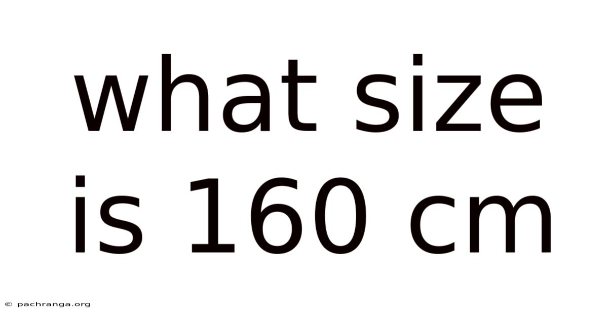 What Size Is 160 Cm